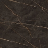 Black glossy marble with gold veins