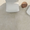 Limestone Taupe