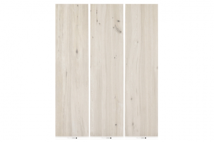 Legno grezzo bianco