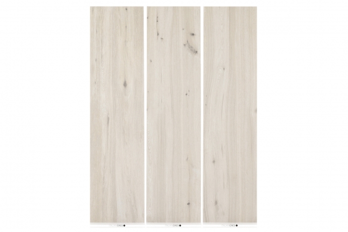 Legno grezzo bianco