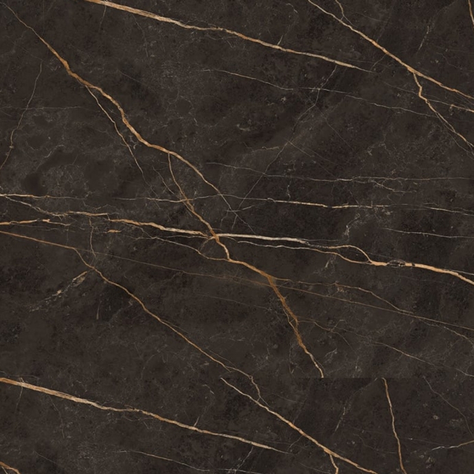 Black glossy marble with gold veins